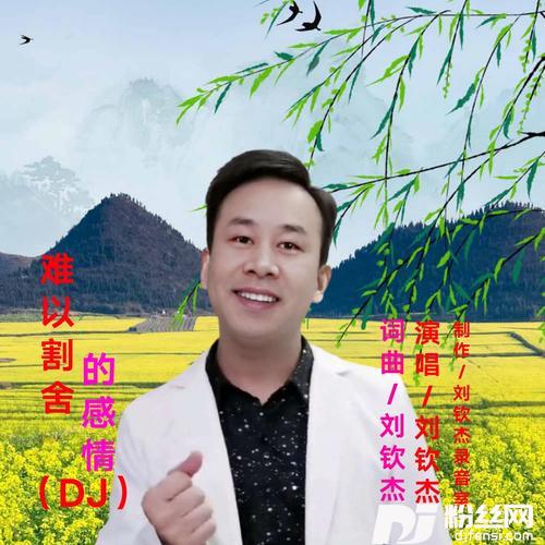 DJ-难以割舍的感情