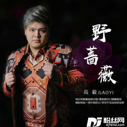 野蔷薇的专辑