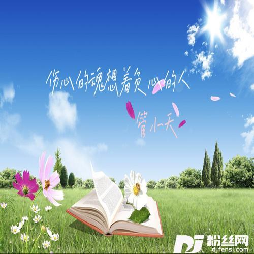 伤心的魂想着负心的人Remix|DJ小天版