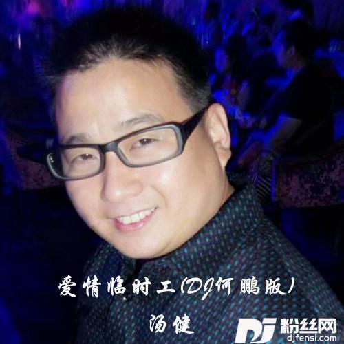爱情临时工DJ版的专辑