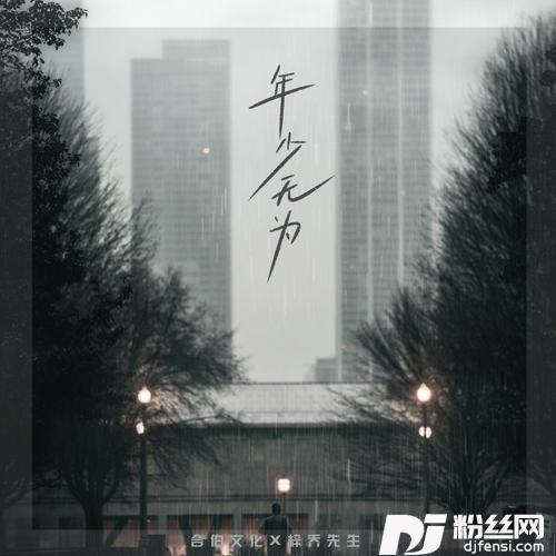 年少无为