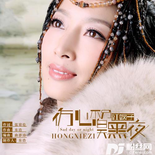 伤心不分白天黑夜（DJ版）其他