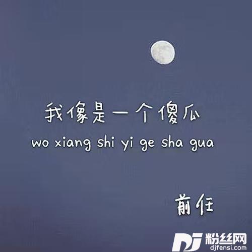 我像是一个傻瓜