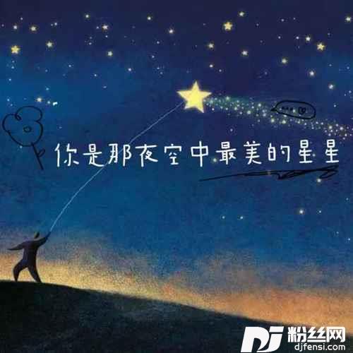 你是那夜空中最美的星星