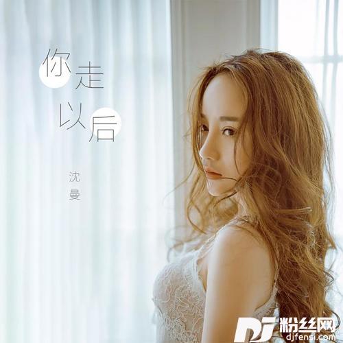 你走以后
