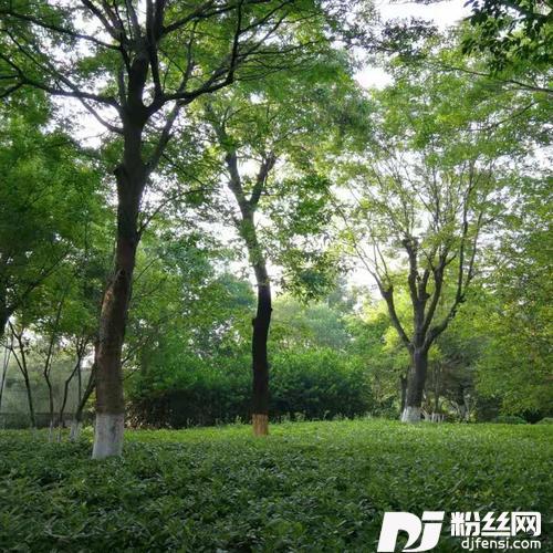 云水悠幽的专辑