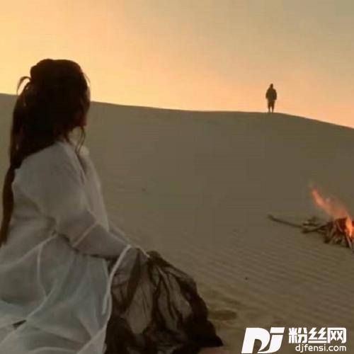 远方的流浪的专辑