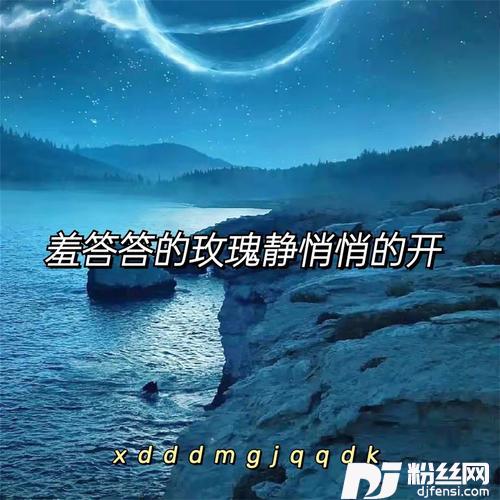 羞答答的玫瑰静悄悄的开DJ完整版