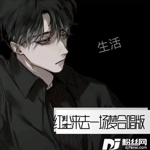 红尘来去一场梦cover:魏新雨