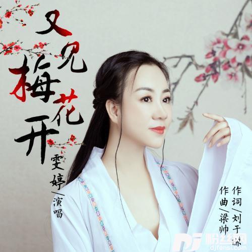 又见梅花开的专辑