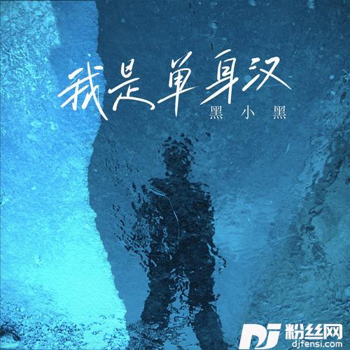 我是单身汉（DJ默涵版）