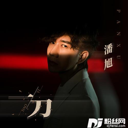 一刀DJ沈念版