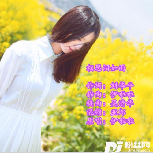 相思泪如雨的专辑