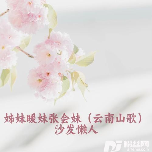 姊妹暖妹张会妹云南山歌