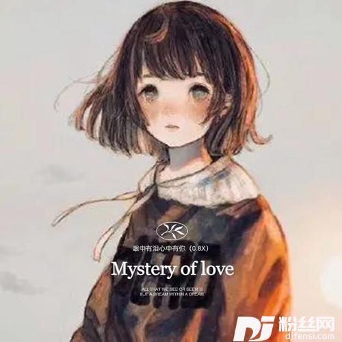 眼中有泪心中有你0.8X的专辑