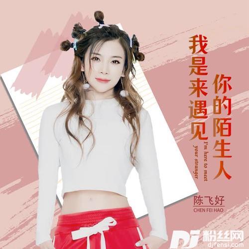 我是来遇见你的陌生人