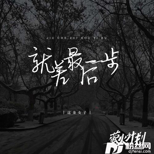 就差最后一步DJ版