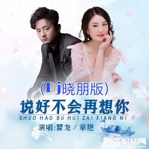 说好不会再想你（Dj晓朋版）