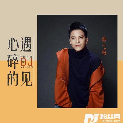 心碎的遇见（DJ版）的专辑