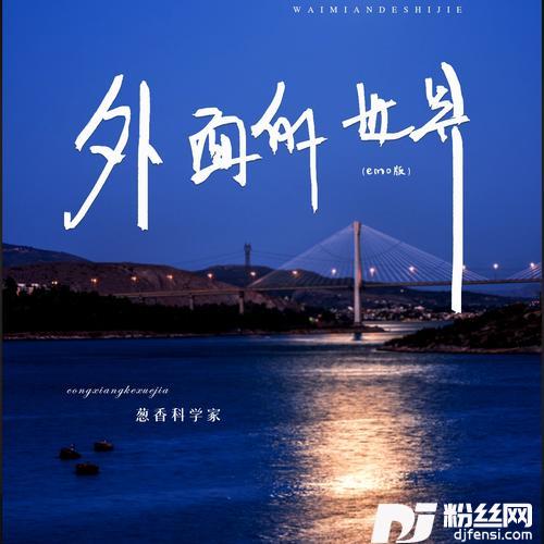 外面的世界emo版