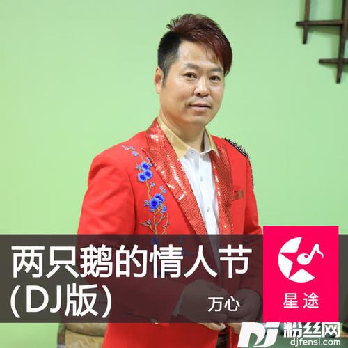 两只鹅的情人节DJ版的专辑