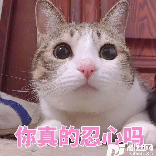 光年之外的专辑