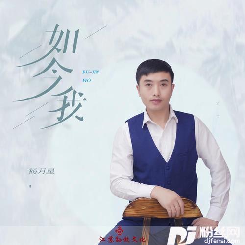 如今我（DJ版）