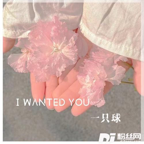 IWantedYouDJ京仔版