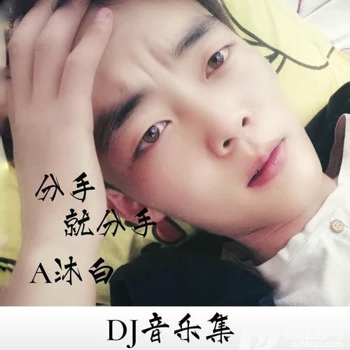 漫步人生路DJ版
