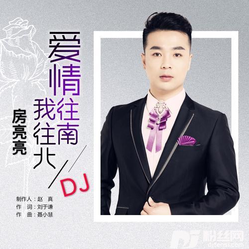 爱情往南我往北（DJ版）的专辑