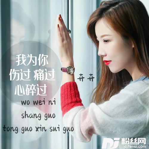 我为你伤过痛过心碎过DJ默涵版的专辑