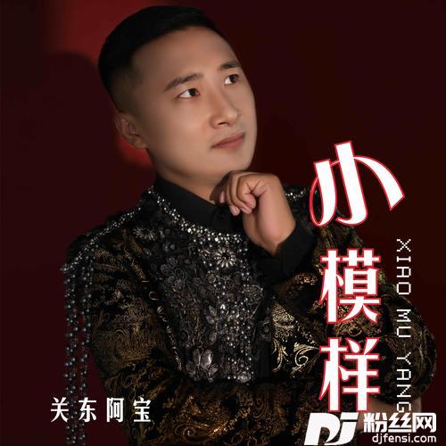 小模样（Dj沈念版）的专辑