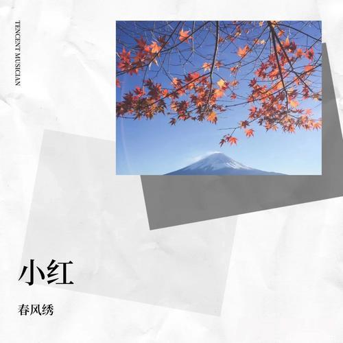 小红的专辑