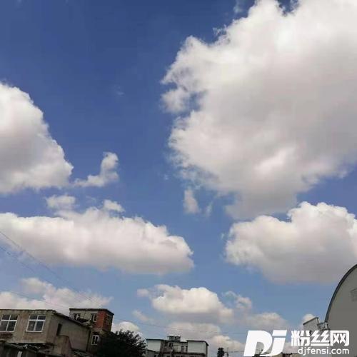 大宝