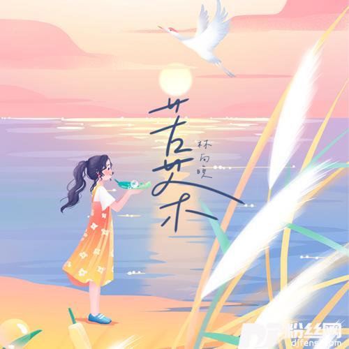 苦茶心动版的专辑
