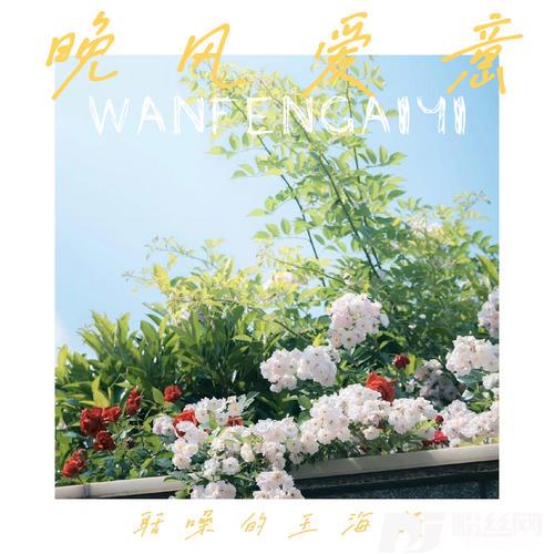晚风爱意的专辑