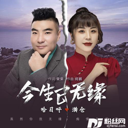 今生已无缘DJ何鹏版