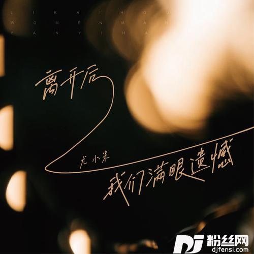 离开后我们满眼遗憾DJ小鑫版）