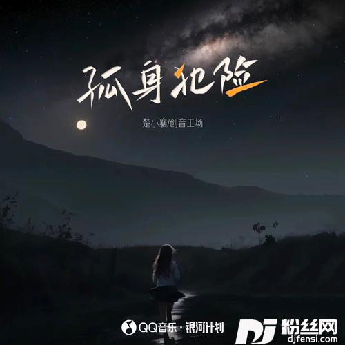 孤身犯险的专辑