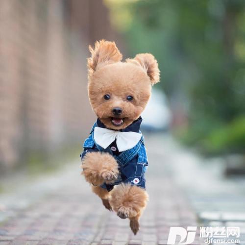 行路难的专辑