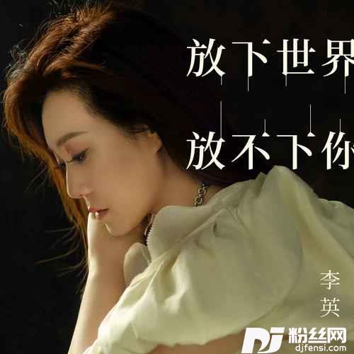 放下世界放不下你DJ九零版的专辑