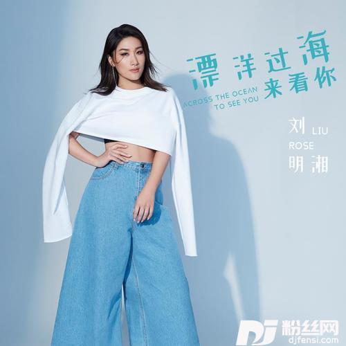 漂洋过海来看你OriginalMix