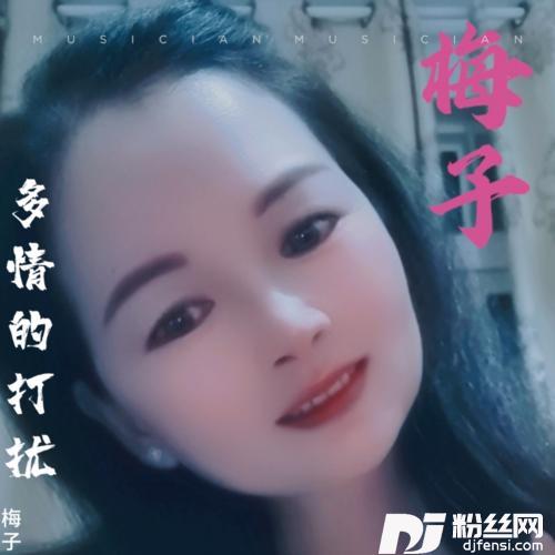 多情的打扰cover:李英的专辑