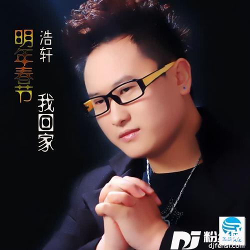 明年春节我回家的专辑