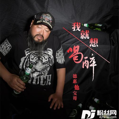 我就想喝醉（DJ何鹏版）