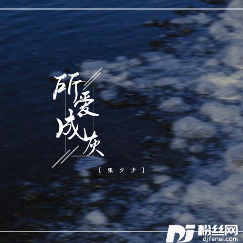 所爱成灰DJ阳少版的专辑