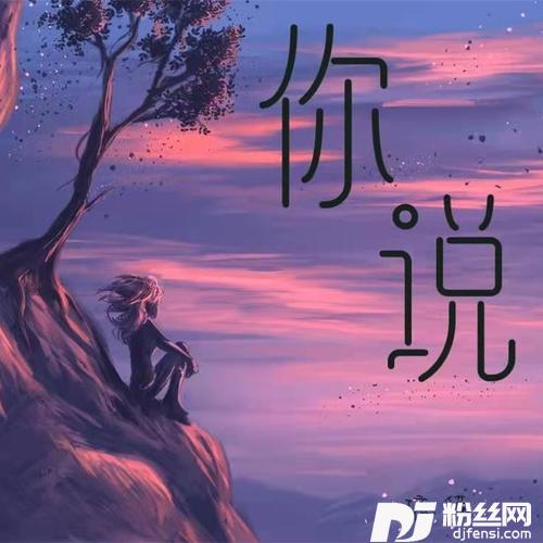 你说的专辑