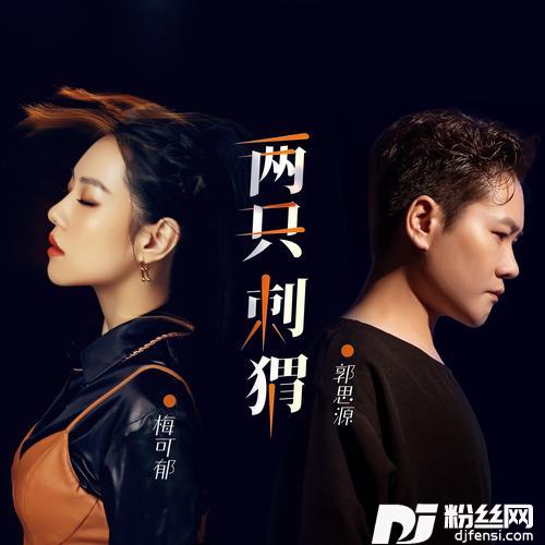 两只刺猬（DJ对唱版）其他的专辑