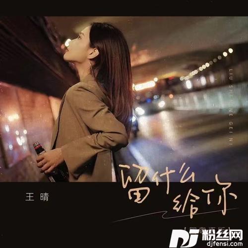 留什么给你国粤语DJ阿本版