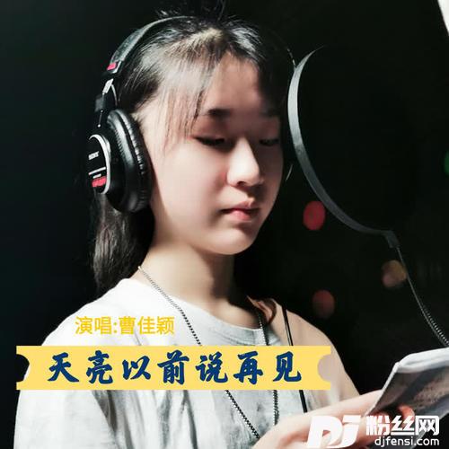 天亮以前说再见